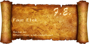 Faur Elek névjegykártya